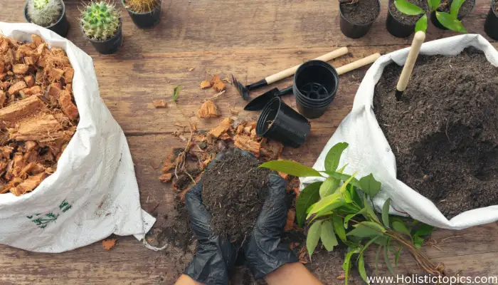 compost for plants with gardener adding organic soil and natural plant food for healthy growth.